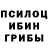 Галлюциногенные грибы прущие грибы Valter Miranda