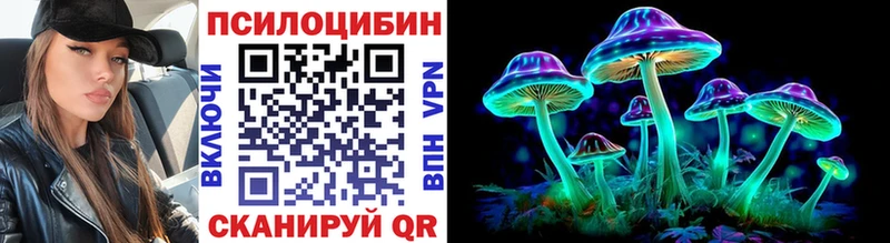 Псилоцибиновые грибы мицелий  наркотики  Сергач 